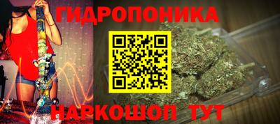 шишки Комсомольск-на-Амуре
