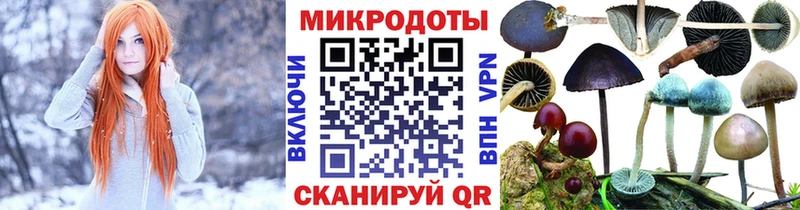 Галлюциногенные грибы мухоморы Мурино
