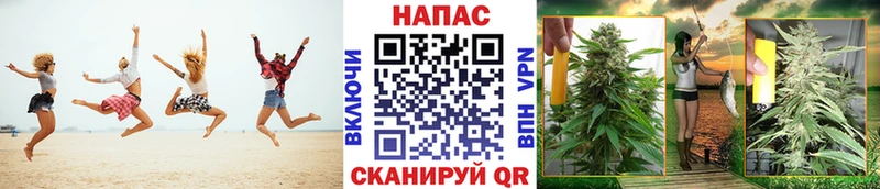 наркота Мурино Бошки Шишки тримм